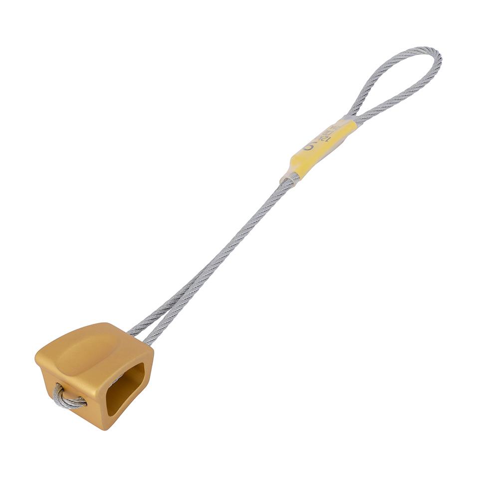 Wallnut 9